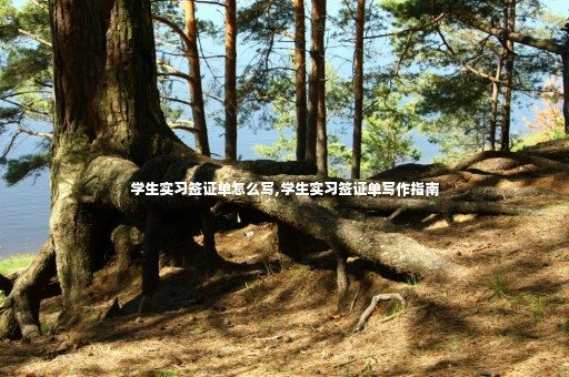 學(xué)生實習(xí)簽證單怎么寫,學(xué)生實習(xí)簽證單寫作指南