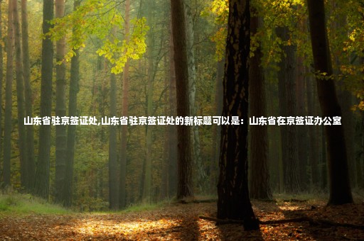 山東省駐京簽證處,山東省駐京簽證處的新標(biāo)題可以是：山東省在京簽證辦公室