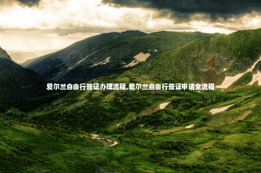 愛爾蘭自由行簽證辦理流程,愛爾蘭自由行簽證申請全流程