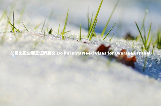 父母出國需要簽證嗎英文,Do Parents Need Visas for Overseas Travel