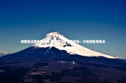 英國簽證條形碼分類,英國簽證申請條形碼：分類和使用要點
