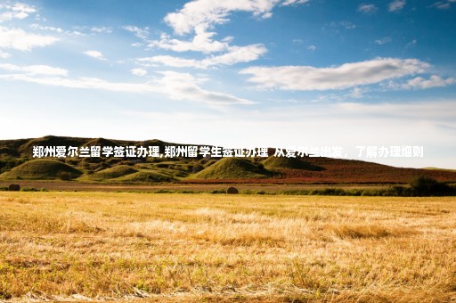 鄭州愛爾蘭留學簽證辦理,鄭州留學生簽證辦理  從愛爾蘭出發(fā)，了解辦理細則