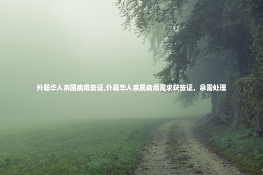 外籍華人親屬病危簽證,外籍華人親屬病危需求獲簽證，急需處理