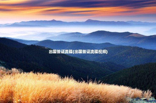 出國(guó)簽證流程(出國(guó)簽證流程視頻)
