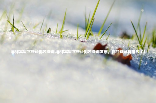 菲律賓留學(xué)簽證排名查詢,菲律賓留學(xué)簽證排名查詢發(fā)布，你的簽證有排名了！