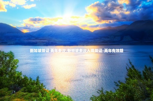 新加坡簽證 兩年多次,新加坡多次入境簽證-兩年有效期