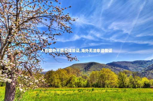 人在國外不能辦理簽證,海外無法申請簽證