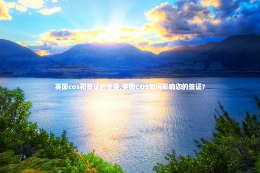 英國(guó)cos和簽證的關(guān)系,英國(guó)COS如何影響您的簽證？