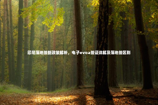 印尼落地簽新政策解析，電子evoa簽證詳解及落地簽區(qū)別