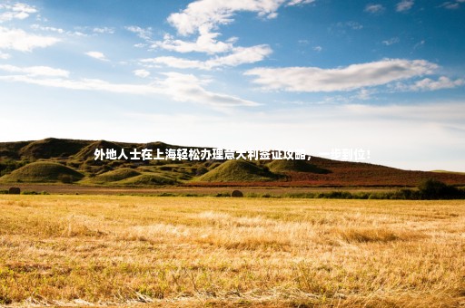 外地人士在上海輕松辦理意大利簽證攻略，一步到位！