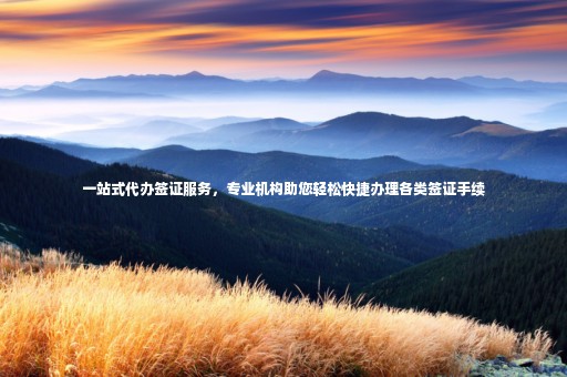 一站式代辦簽證服務(wù)，專業(yè)機(jī)構(gòu)助您輕松快捷辦理各類簽證手續(xù)