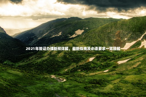 2021年簽證辦理新規(guī)詳解，最新指南及必遵要求一覽圖解