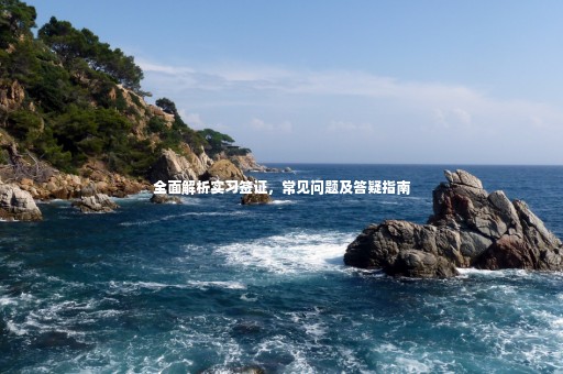 全面解析實習(xí)簽證，常見問題及答疑指南