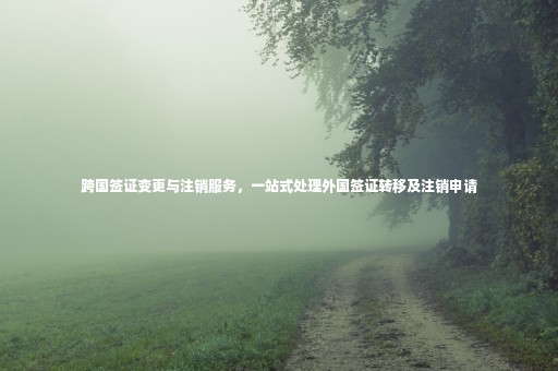 跨國簽證變更與注銷服務(wù)，一站式處理外國簽證轉(zhuǎn)移及注銷申請(qǐng)