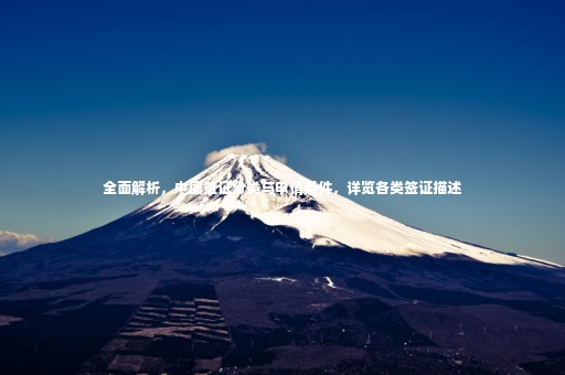 全面解析，中國簽證分類與申請條件，詳覽各類簽證描述