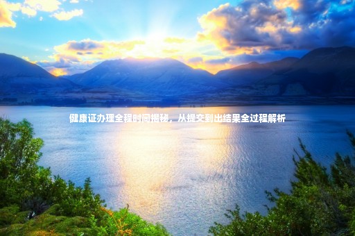 健康證辦理全程時(shí)間揭秘，從提交到出結(jié)果全過程解析