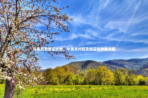 馬來西亞簽證攻略，中英文對(duì)照及簽證有效期詳解