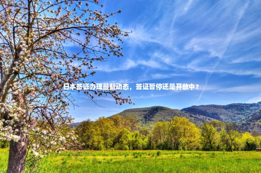 日本簽證辦理最新動態(tài)，簽證暫停還是開放中？
