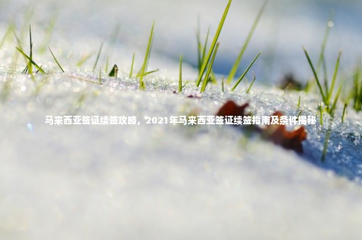 馬來西亞簽證續(xù)簽攻略，2021年馬來西亞簽證續(xù)簽指南及條件揭秘