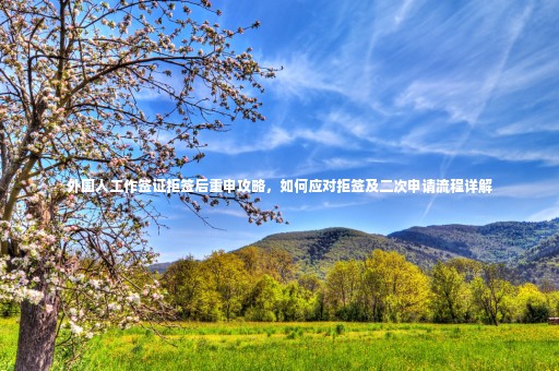 外國人工作簽證拒簽后重申攻略，如何應(yīng)對拒簽及二次申請流程詳解