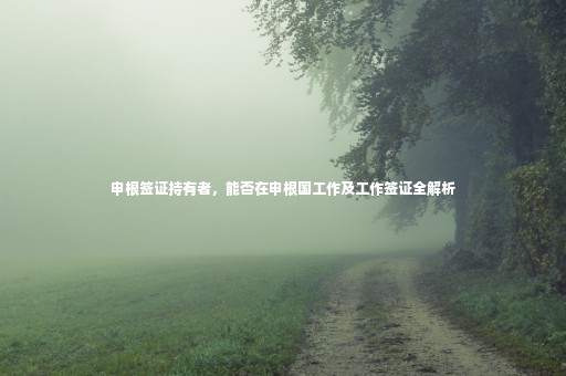 申根簽證持有者，能否在申根國工作及工作簽證全解析