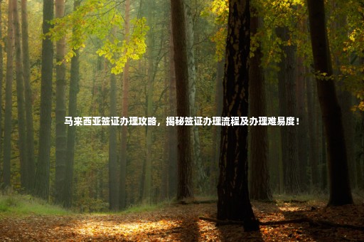 馬來西亞簽證辦理攻略，揭秘簽證辦理流程及辦理難易度！