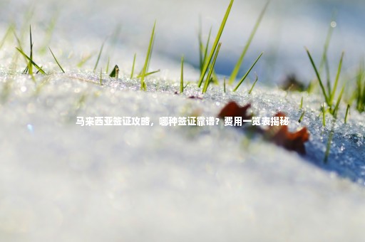 馬來西亞簽證攻略，哪種簽證靠譜？費(fèi)用一覽表揭秘