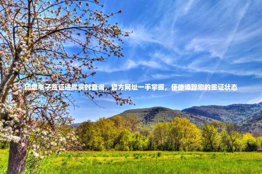 印度電子簽證進(jìn)度實(shí)時(shí)查詢，官方網(wǎng)址一手掌握，便捷追蹤您的簽證狀態(tài)