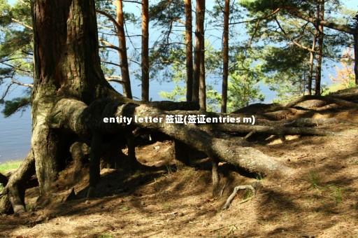 entity letter 簽證(簽證entries m)