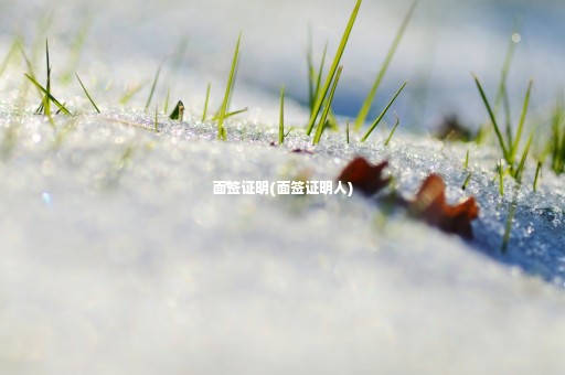 面簽證明(面簽證明人)