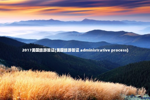 2017美國旅游簽證(美國旅游簽證 administrative process)