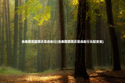去泰國是跟團(tuán)還是自由行(去泰國跟團(tuán)還是自由行比較安全)