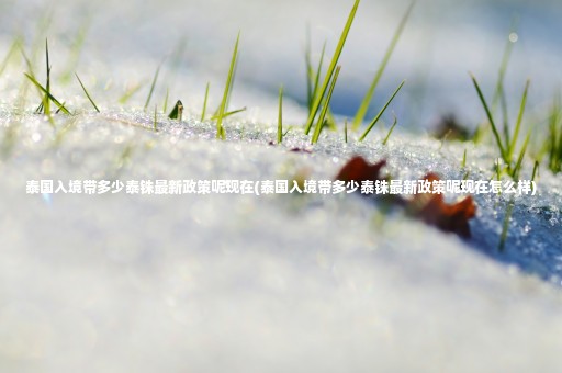 泰國(guó)入境帶多少泰銖最新政策呢現(xiàn)在(泰國(guó)入境帶多少泰銖最新政策呢現(xiàn)在怎么樣)