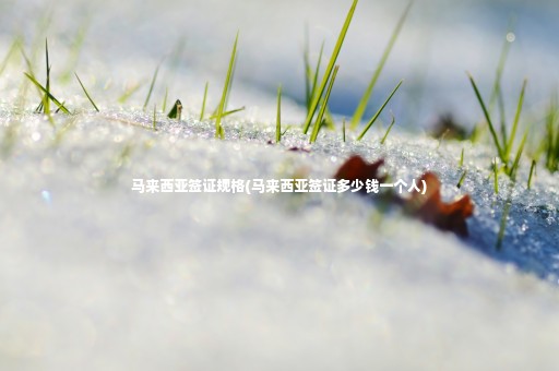 馬來西亞簽證規(guī)格(馬來西亞簽證多少錢一個人)