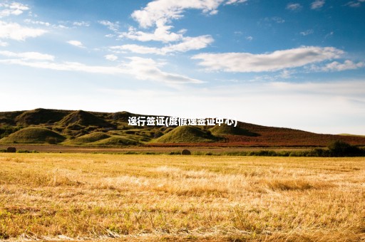 逸行簽證(度假逸簽證中心)