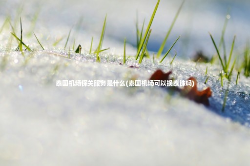 泰國機場保關(guān)服務是什么(泰國機場可以換泰銖嗎)