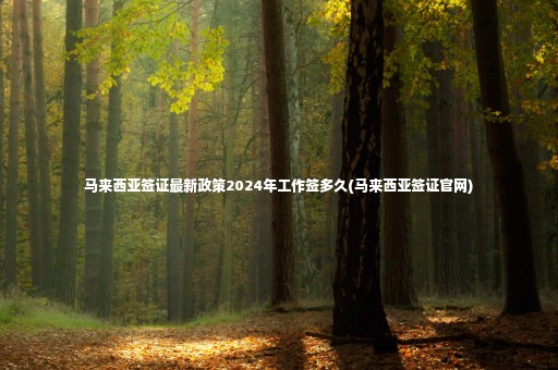 馬來西亞簽證最新政策2024年工作簽多久(馬來西亞簽證官網(wǎng))
