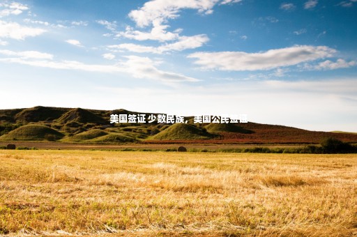 美國簽證 少數(shù)民族，美國公民簽證