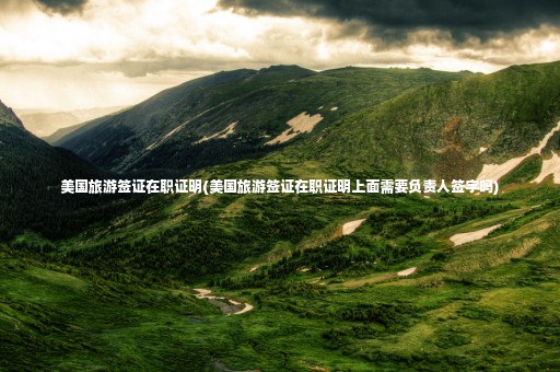 美國(guó)旅游簽證在職證明(美國(guó)旅游簽證在職證明上面需要負(fù)責(zé)人簽字嗎)