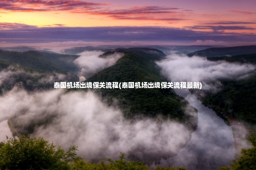 泰國機場出境保關(guān)流程(泰國機場出境保關(guān)流程最新)