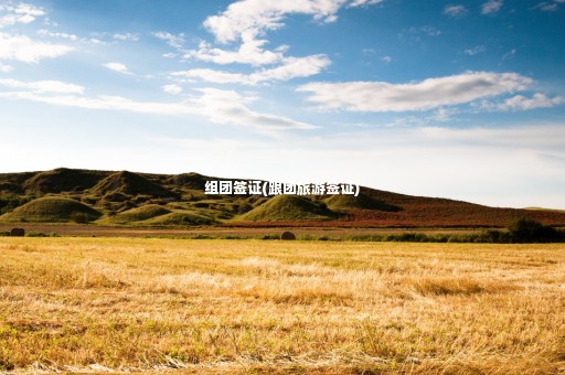 組團(tuán)簽證(跟團(tuán)旅游簽證)