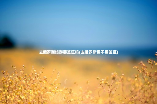 去俄羅斯旅游要簽證嗎(去俄羅斯用不用簽證)