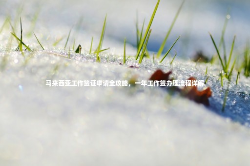 馬來(lái)西亞工作簽證申請(qǐng)全攻略，一年工作簽辦理流程詳解