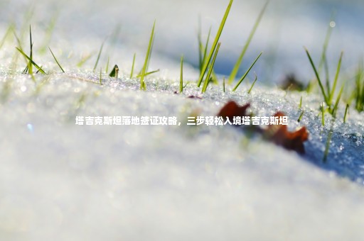 塔吉克斯坦落地簽證攻略，三步輕松入境塔吉克斯坦