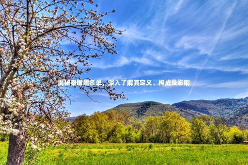 揭秘泰國黑名單,深入了解其定義、構(gòu)成及影響 揭秘泰國黑名單,深入了解其定義、構(gòu)成及影響
