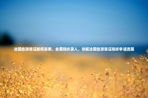 法國旅游簽證新規(guī)來襲，全面指紋錄入，詳解法國旅游簽證指紋申請流程