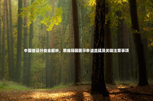 中國簽證分類全解析，思維導(dǎo)圖展示申請流程及關(guān)鍵注意事項