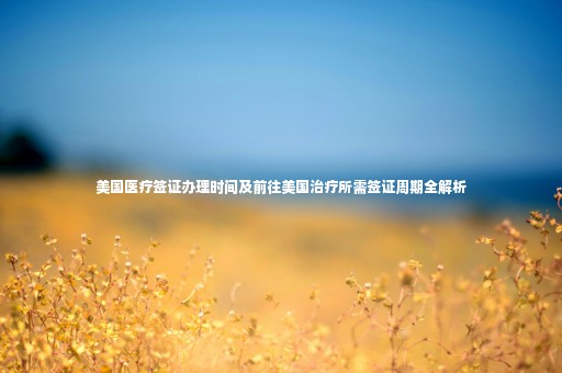 美國(guó)醫(yī)療簽證辦理時(shí)間及前往美國(guó)治療所需簽證周期全解析