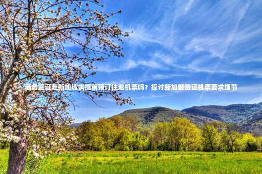 商務簽證赴新加坡需提前預訂往返機票嗎？探討新加坡簽證機票要求細節(jié)