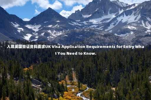 入境英國簽證資料要求UK Visa Application Requirements for Entry What You Need to Know.